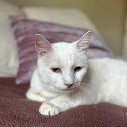 Earl Bonded To Floyd image 1