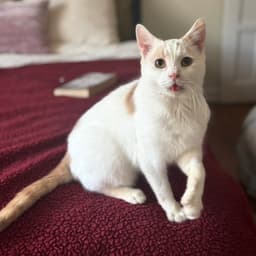 Floyd Bonded To Earl image 3
