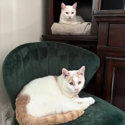 Floyd Bonded To Earl image 2