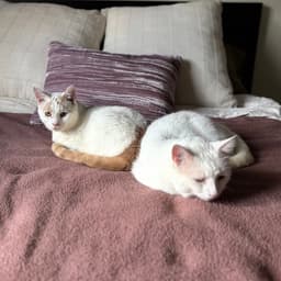 Floyd Bonded To Earl image 4