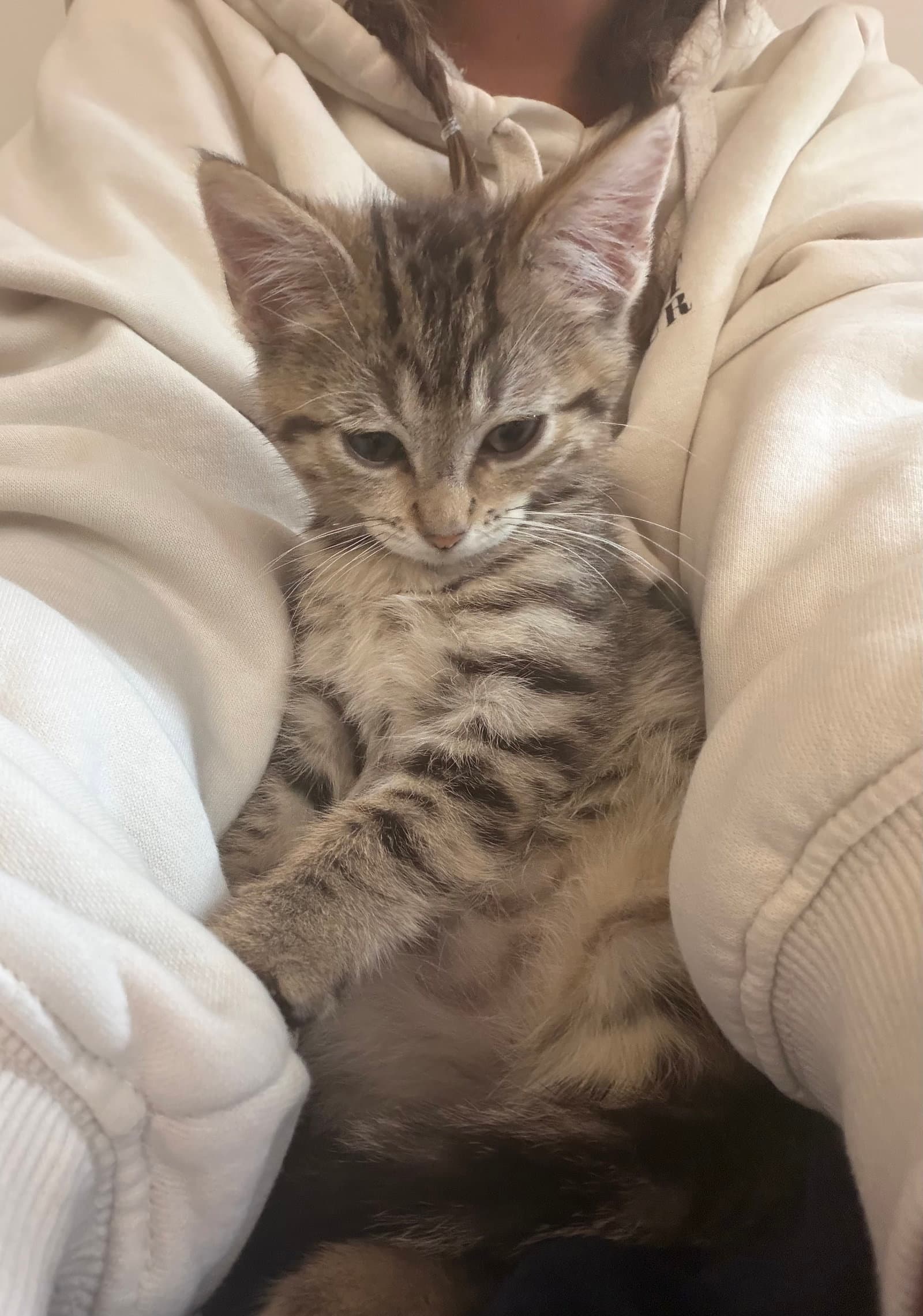 Summer Bonded With Morty
