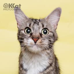 Mia image 2