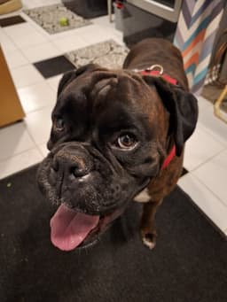 Walter image 2