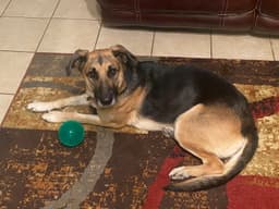 Lola image 3