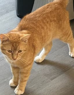 Caleb image 2