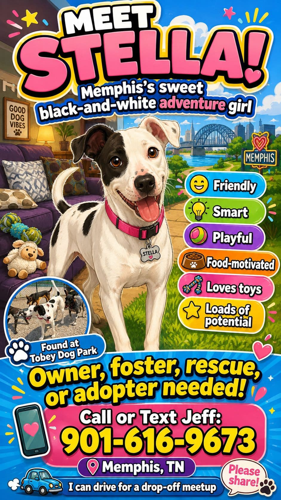 Zcl-D-Stella - Smooth Fox Terrier