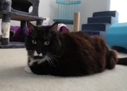 Edgar image 2