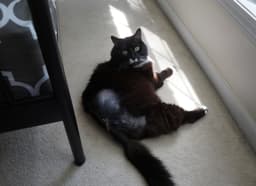 Edgar image 3