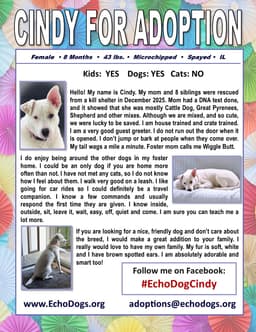 Cindy image 2