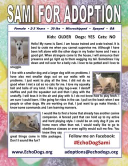 Sami image 2