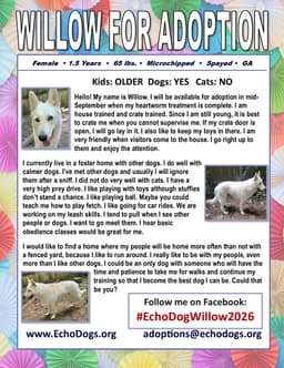 Willow image 2