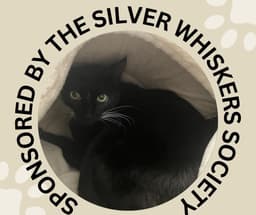 Bootsie image 1