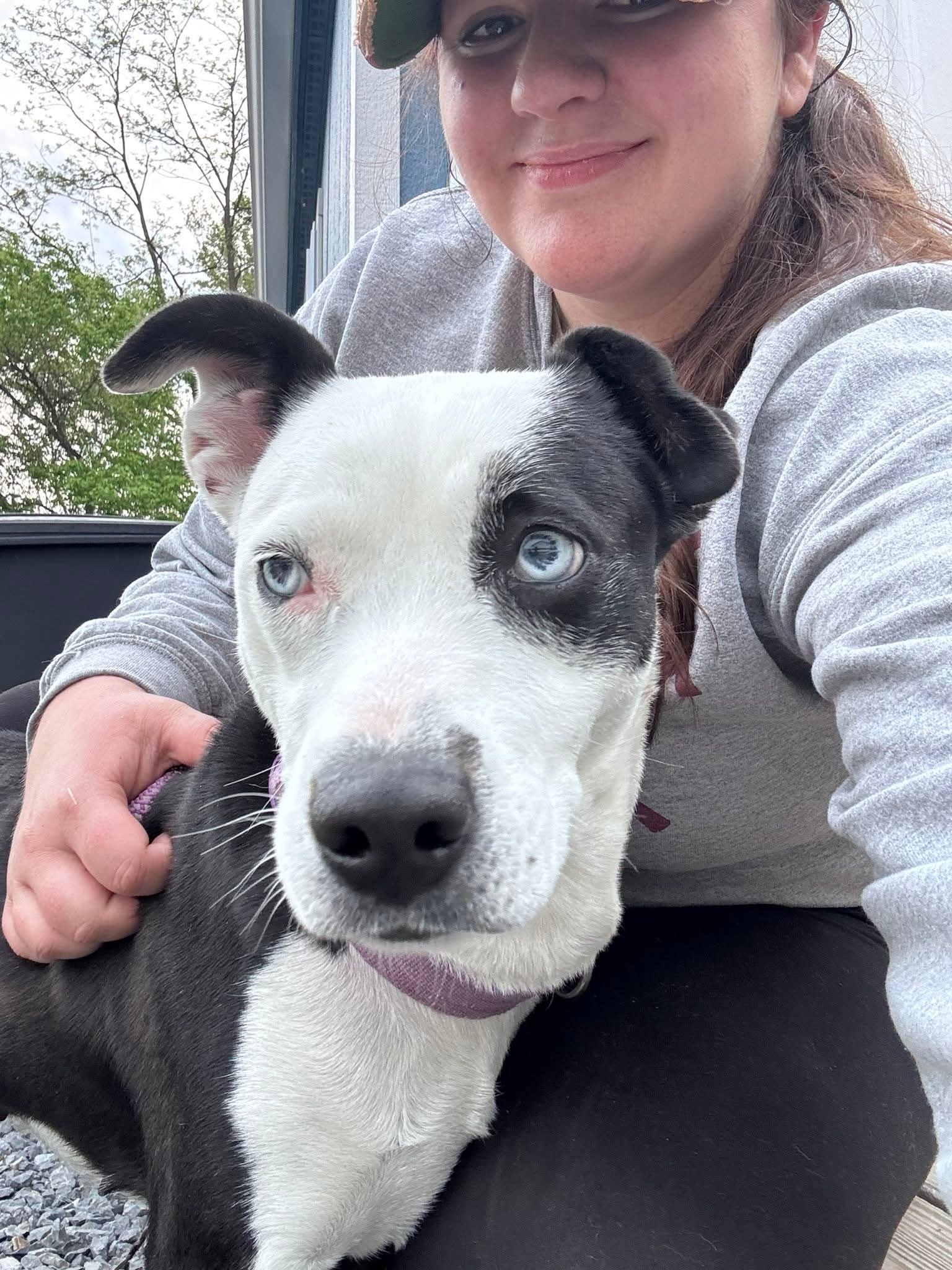 Mercedes Yo Lbs - Hound