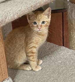Monty image 1