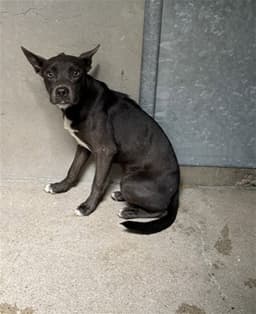 Sara image 1