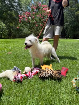 Millie image 3