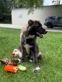 Audri image 3