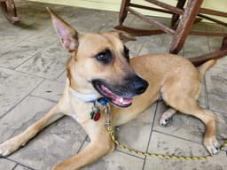 Winnie image 3