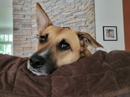 Winnie image 4