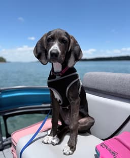 Josie image 4