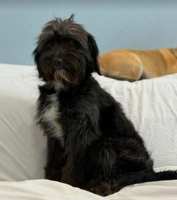 Margie image 1