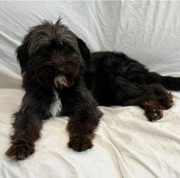 Margie image 2