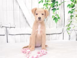 Kayce image 1