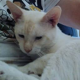 Willy image 4