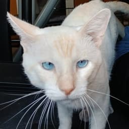 Willy image 2
