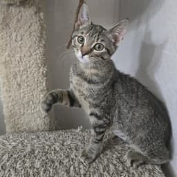 Gabby image 3
