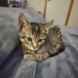 Gabby image 2