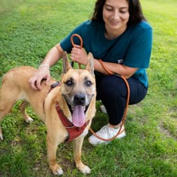 Handsome Beauregard image 1