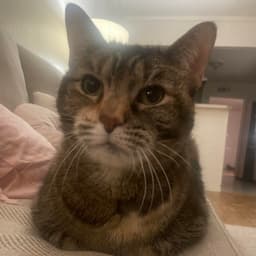 Bobbi image 1