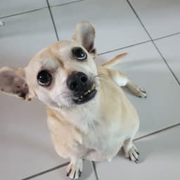 Leroy image 1