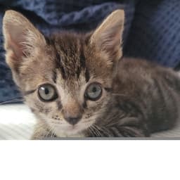 Lenny image 1
