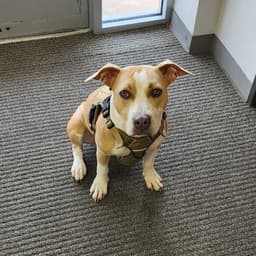 Gema New Digs image 1