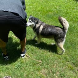 Sammie image 2