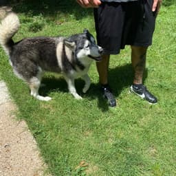 Sammie image 4