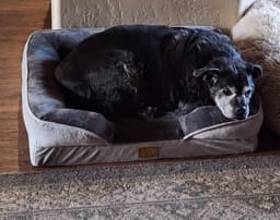 Ernie image 4