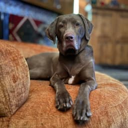 Ella Mae Roo image 1