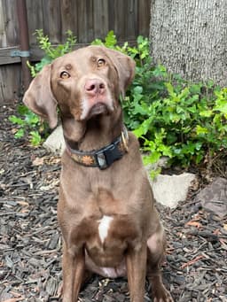 Ella Mae Roo image 4