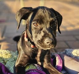 Esther image 3