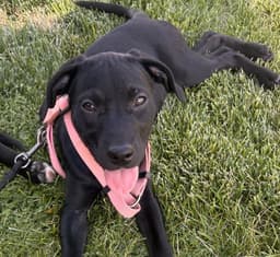 Etta Mae image 2