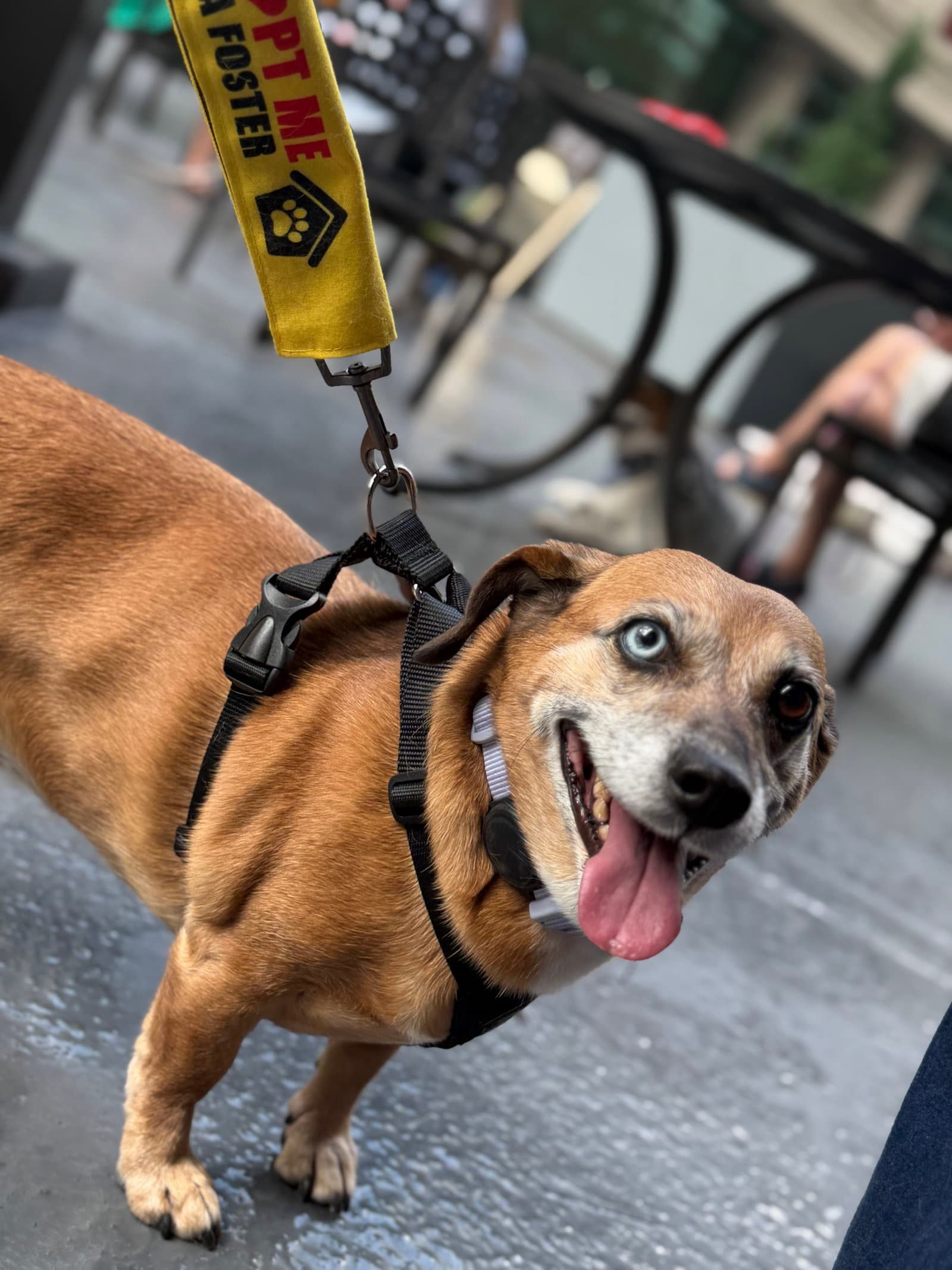 Mia