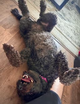 Chloe image 4