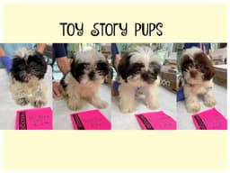 Toy Story Pups Not Yet Available image 1