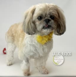 Lillie Grace image 2