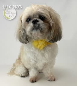 Lillie Grace image 3