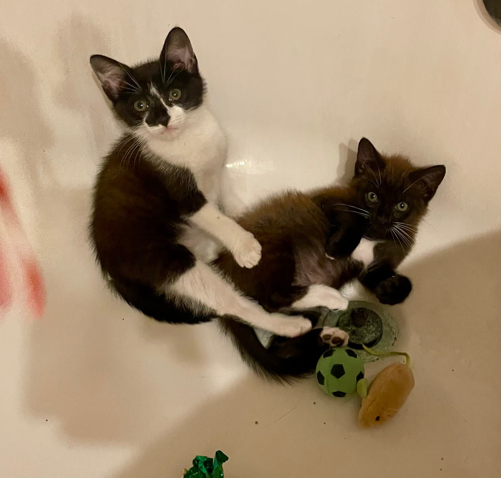 Cher  Sonny - Tuxedo
