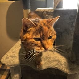 Betty image 1
